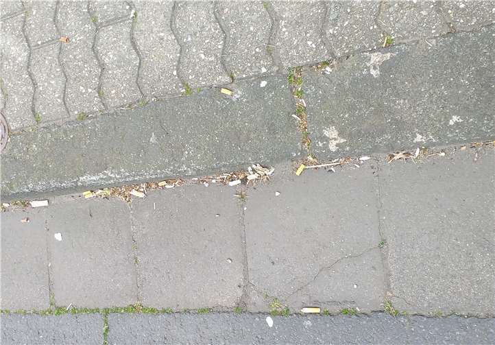 Zahlreiche Zigarettenstummel sind auf dem Gehweg in Bendorf zu finden. Foto: privat