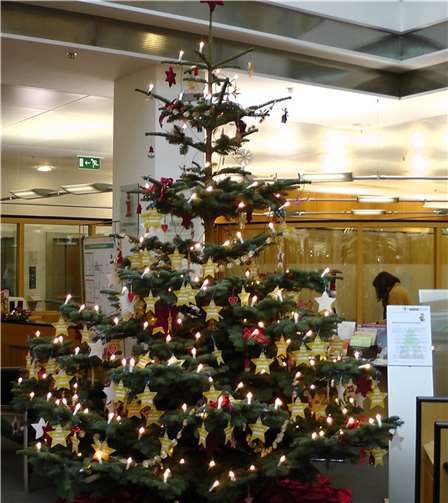 Zahlreiche gelbe Sterne mit Kinderwünschen warten ab dem 27. November in der Sparkasse Neuwied, Hermannstraße 20, und in der VR-Bank Rhein-Mosel e.G. Langendorfer. 147 auf Weihnachtswichtel.Foto: Kinderschutzbund