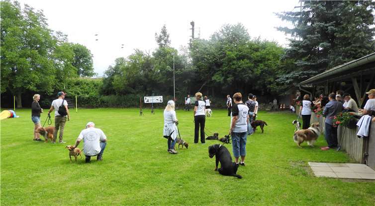 Zahlreiche zwei- und vierbeinige Gäste konnten die Hundesportfreunde Untere Ahr auf ihrem Vereins- und Trainingsgelände begrüßen. Viele nutzten die Gelegenheit, einmal unter Anleitung einen Parcours zu bewältigen. RÜ