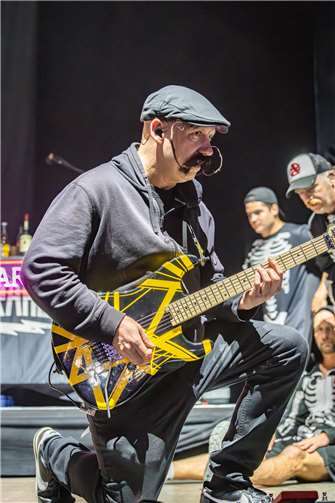 Zebrahead