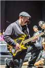 Zebrahead
