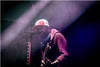 Zebrahead