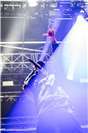 Zebrahead