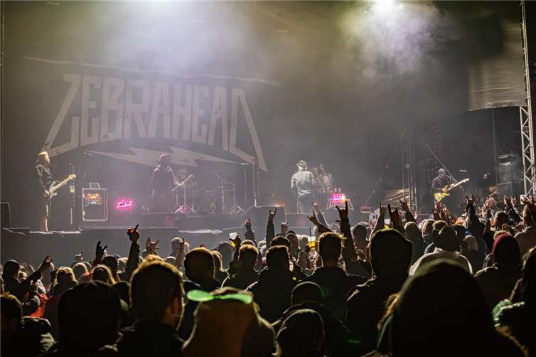 Zebrahead