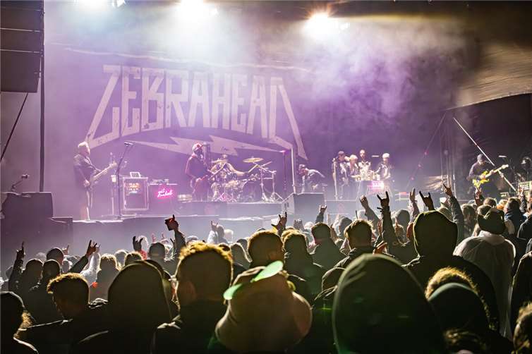 Zebrahead