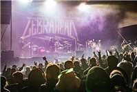 Zebrahead