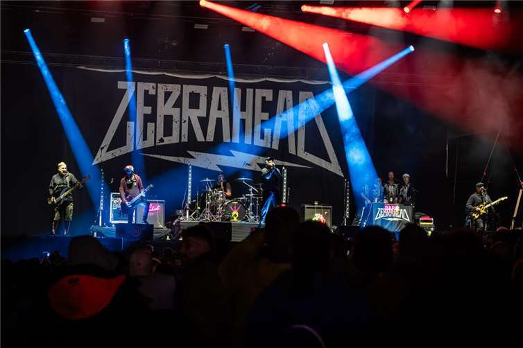 Zebrahead