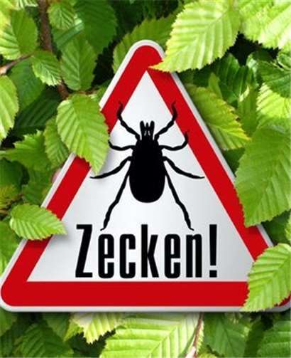 Zecken: Vorsicht ist angebracht – Panik dagegen nicht!Rhein-Lahn-Kreis