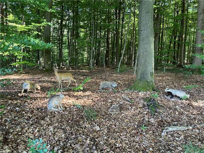 Zehn Stationen, darunter das Erkennen von Waldtieren, ermöglichten das Erleben des spätsommerlichen Waldes.  Foto: Irmgard Schröer/Naturpark Rhein-Westerwald
