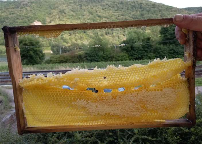 Zerstörte Bienenstöcke im Razejungewingert – der Schaden ist enorm.  Foto: privat
