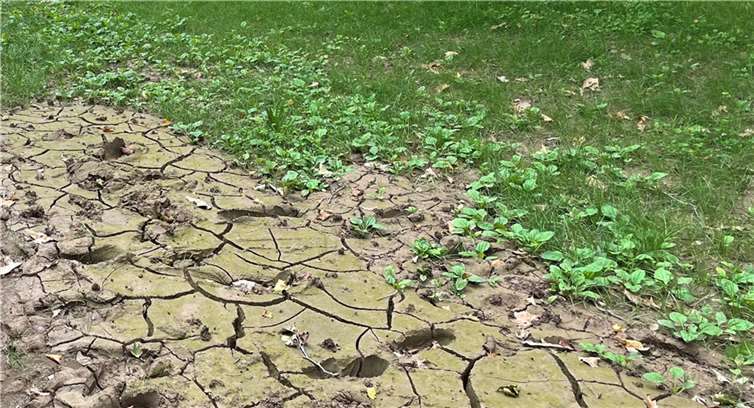 Gärtnern nach der Flut: Wie kann es weitergehen? Zerstörter Garten nach der Flut. Foto: ROB