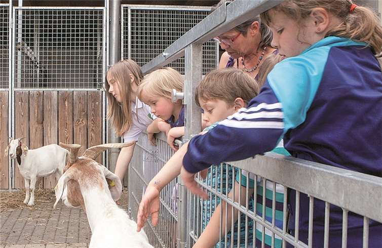 Ziegenstreicheln gehörte an der Kulturscheune Hochgürtel in Züllighoven ebenfalls auf dem Programm.