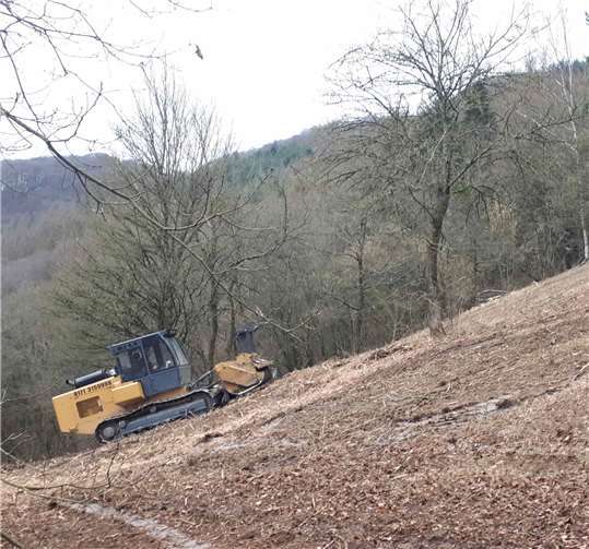 Ziel der großflächigen Entbuschung ist es, den dort vorkommenden Orchideen Wachstumsmöglichkeiten zu geben.Foto: privat