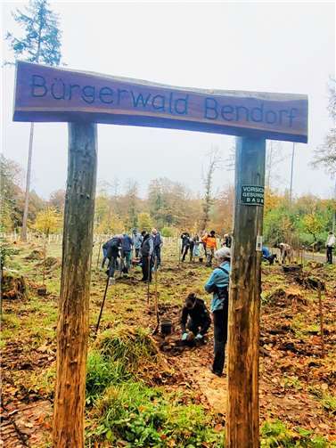 Ziel des Projektes „Bürgerwald“ ist es, durch Bürgerengagement in Kooperation mit dem Forstrevier die Kahlfläche wieder in einen klimastabilen Wald zu verwandeln. Fotos: Stadt Bendorf