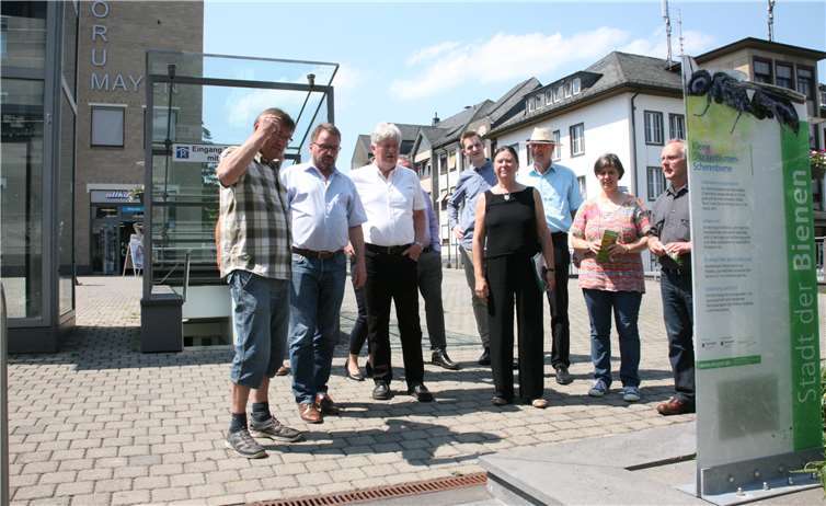 Ziel des Projektes ist es, für die Bedeutung derWildbienen in Bezug auf den Erhalt der Artenvielfalt zu sensibilisieren.