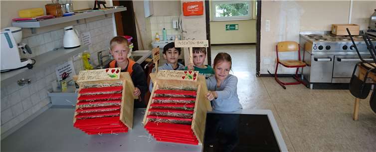 Zu Beginn der Aktion entstanden mehrere Insektenhotels. Fotos: privat