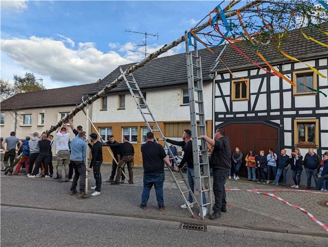 Zu Beginn errichtete der Junggesellenverein „Freundschaftsbund“ auf dem Dorflatz an der Kirche den Dorfmaibaum.  Fotos: privat