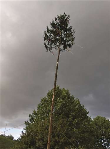 Zu Beginn wurde der Kirmesbaum aufgestellt.