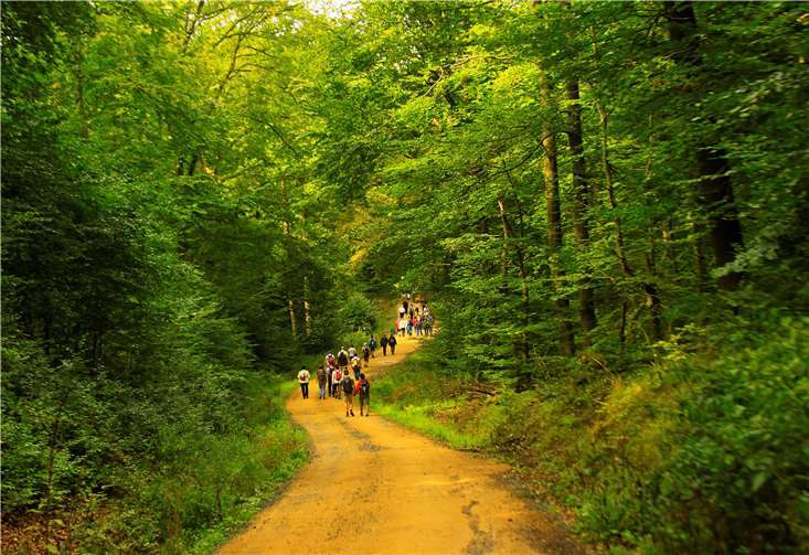 Zu Fuß ging es durch die malerische Landschaft.