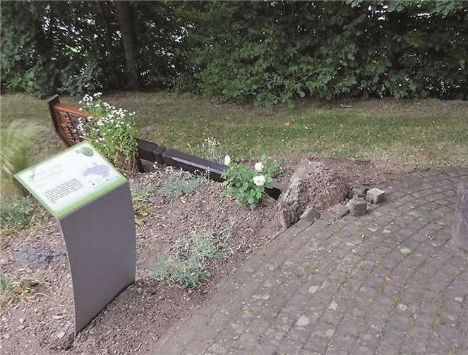 Zu Sachbeschädigungen kam es im Kurpark in Bad Bodendorf.privat