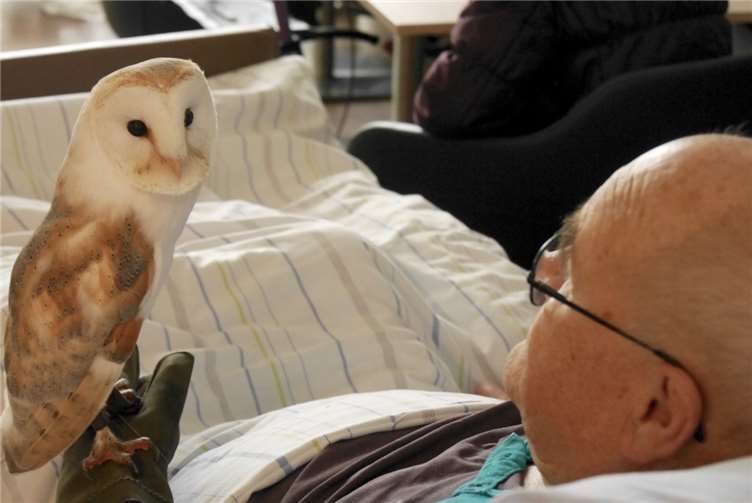 Zu der Aktion kamen auch Bewohner mit ihrem Bett und erfreuten sich an den Vögeln.