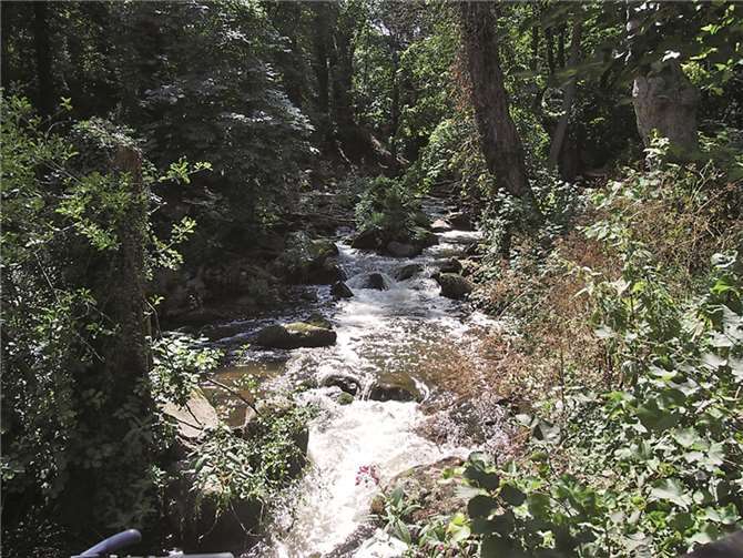 Zu einem idyllischen Spaziergang entlang der Nette laden das einmalige Naturschutzgebiet Nettetal sowie der „Rauscherpark“ ein.