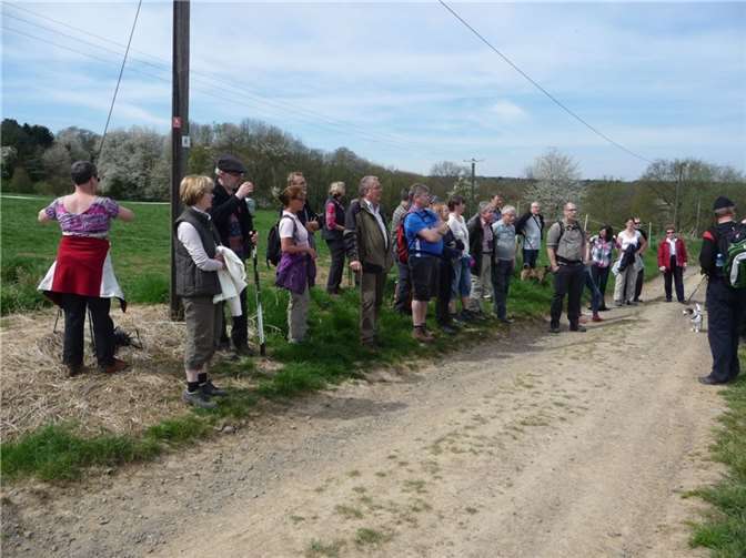 Zu einer geführten Wanderung auf den Remagener Vulkan Scheidskopf werden am 19. März alle geologisch interessierten Wanderer eingeladen. Quelle: Stadt Remagen