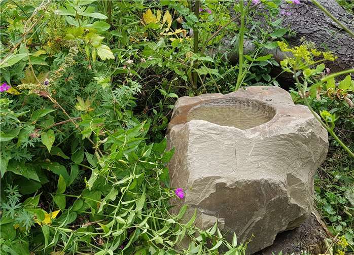 Zu sehen ist auch die neue Vogeltränke, die Vögeln und Insekten durch trockene Hitzeperioden hilft.Foto: privat