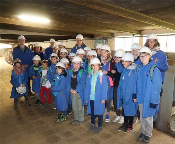 Zuerst ging es zu einer Entdeckungsreise ins Innere der Erde. Privat