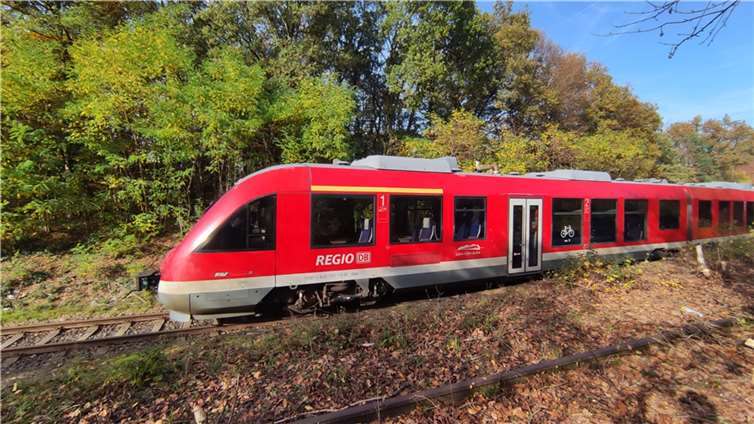 Zug der Regionalbahn in Kaisersesch.  Fotos: privat