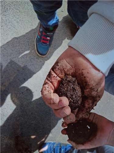 Zum Abschluss formte jedes Kind eine kleine Erdkugel mit Blumensamen, um den neuen „Freunden“ im eigenen Garten etwas Gutes zu tun.