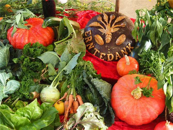 Zum Erntedankfest hatte der Gartenbauverein am Sonntag, 29. September 2024, in Plaidt, eingeladen. Foto: privat