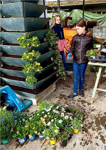 Zum Girls‘ Day entschieden sich Maria, Isabel und Samantha in den Beruf der Gärtnerin zu schnuppern.