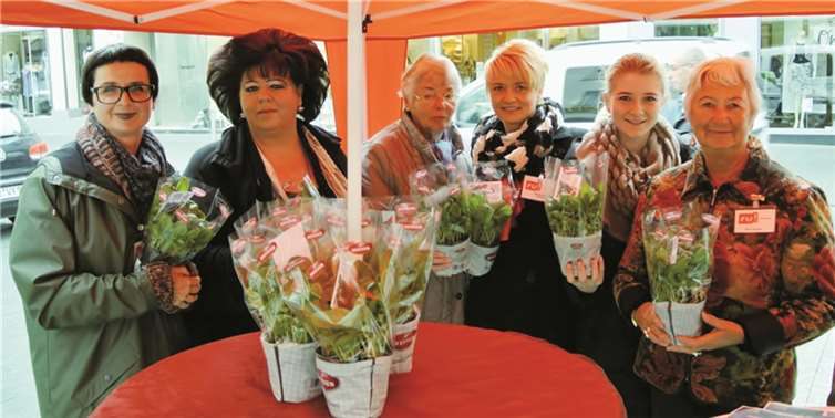 Zum Muttertag verschenkten die Frauen der CDU-Frauenunion zahlreiche Basilikumtopfflanzen. privat