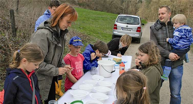 Zum Schluss werden alle Tiere in den Beobachtungsschalen noch einmal betrachtet und anschließend behutsam wieder freigelassen.