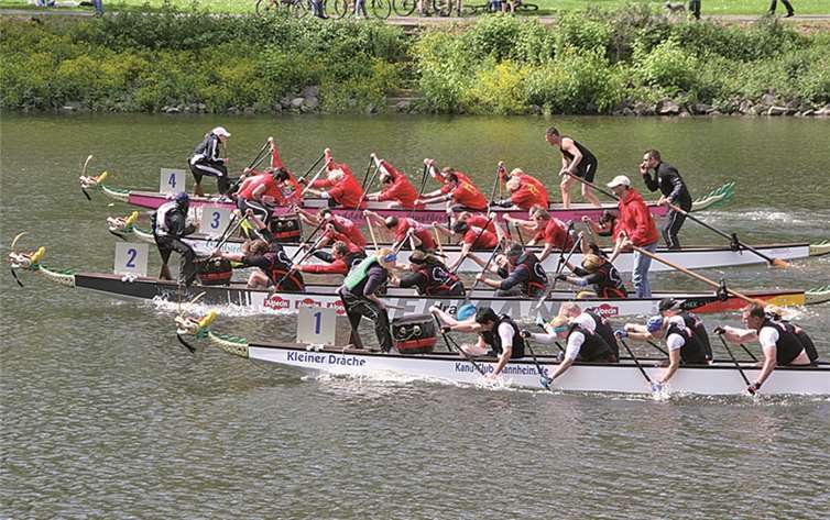 Zum dritten Mal findet der Schängel-Cup am 15. Juni statt.privat