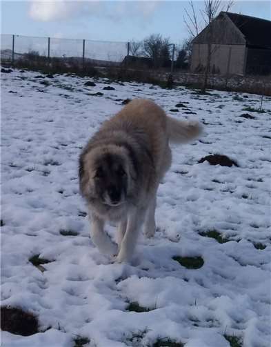 Zum ersten Mal Schnee.