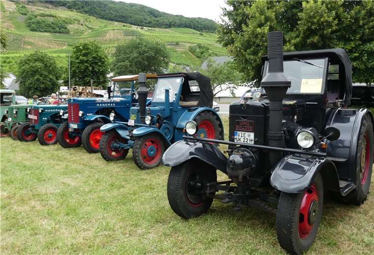 Zum traditionellen Schleppertreffen fanden sich am Rande des Weinfestes annähernd 200 Oldtimertraktoren ein.