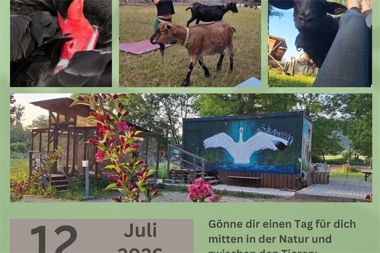 Zum zweiten Mal lädt der Tier- und Naturfreunde Schwanenteich e.V. zu einem Yoga-Retreat auf das Vereinsgelände.