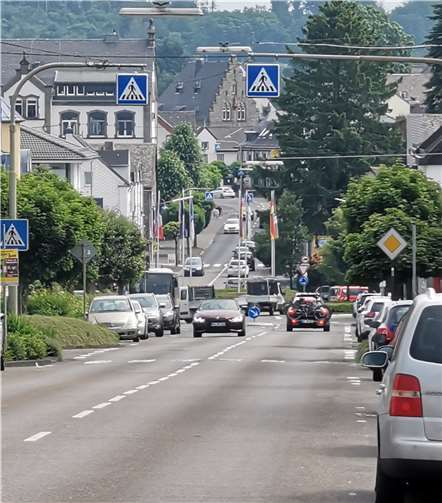Zunächst wird eine umfassende Bestandsaufnahme des Untersuchungsgebietes durchgeführt. Foto: N Schwickert
