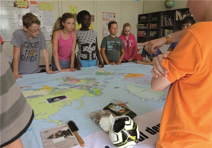 Zuordnung der Waldprodukte zu ihren Ursprungsländern.