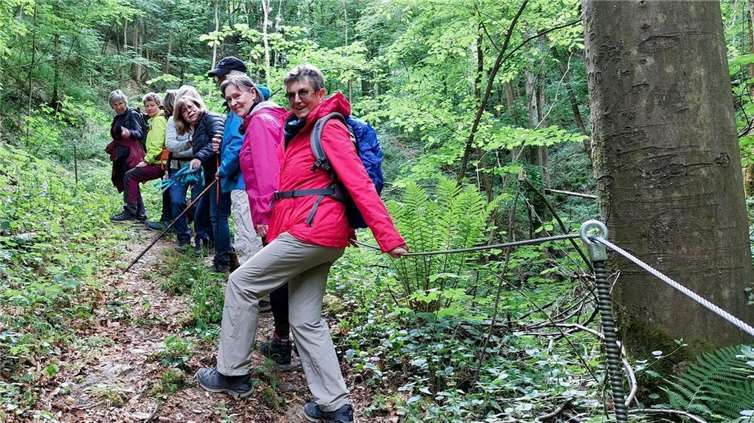 TGO-Wanderer auf dem Whisper-Trail  Zur Überraschung aller war der Anstieg flott geschafft.