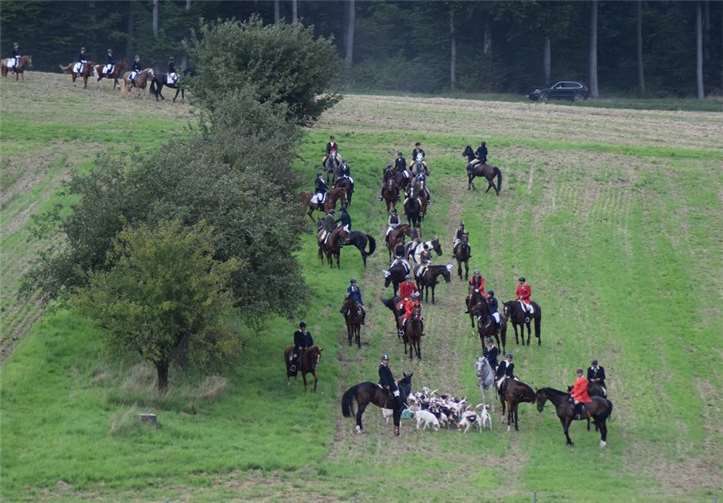 Zur traditionellen Schleppjagd rund um Anhausen lädt der Verein der Hobbyreiter Anhausen am Samstag, 14. September, ein. Foto: privat