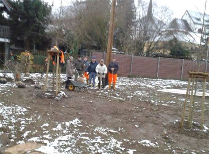 Zur weiteren Aufwertung des Mehrgenerationenplatzes wurden Ziersträucher angepflanzt. privat