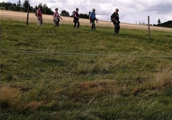 Zurück gings weitgehend bergab.