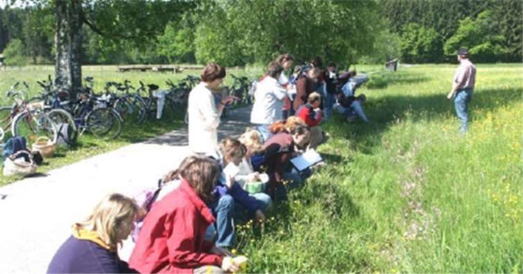 Zurzeit wachsen viele verschiedene essbare Wildkräuter.privat