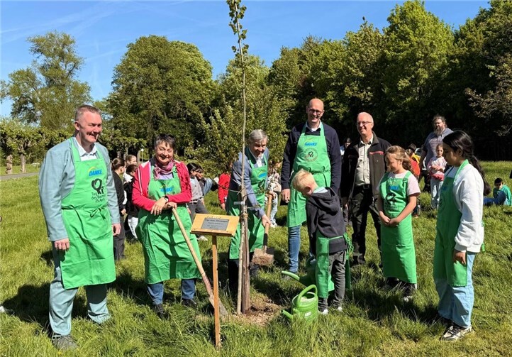 Zusammen mit (v.l.n.r.) Stadtbürgermeister Mark Geimer, Schulleiterin Andrea Winkelmann, Baumspender Michael Heider, Bürgermeister Jan Ermtraud und Revierförster Christoph Kirst „pflanzten“ die Drittklässler der Marienschule den „Baum des Jahres“.  Foto: Tabea Bluedorn