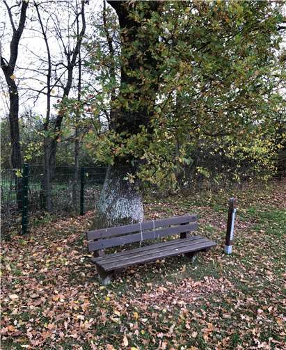 Zwei Bänke wurde abgesperrt.Quelle: Ortsgemeinde Sessenhausen