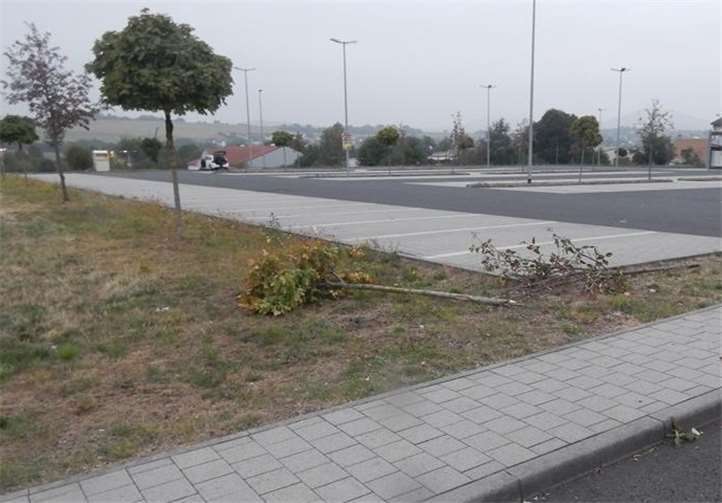 Zwei Bäume wurden erheblich beschädigt. Foto: Polizei