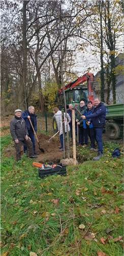 Zwei Lindenbäume wurden im Bereich der Straße Stadtpark/Neugartenstraße gepflanzt. Quelle: CDU Rheinbach